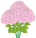 roses