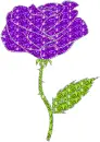 rose