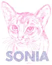 Sonia - cat