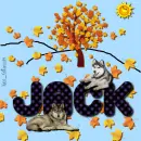 Jack - Husky - Fall - Leaves - Tree