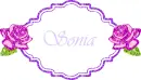 Sonia - rose