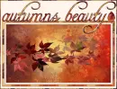 Autumns Beauty