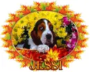 Jessi
