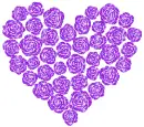 roses with shape of heart