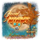 Katerina - Good Night Autumn Moon