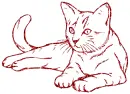 cat