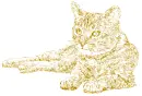 cat