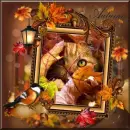 Autumn Kitty