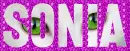 Sonia - cat eyes glitter background