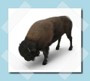 bÃ¶lÃ©ny