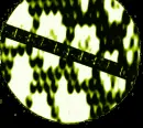 LoveToTheMoonandBackPeridotGlobe
