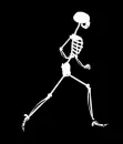 Skeleton Jogging