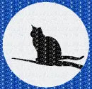 cat and moon