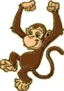 monkey