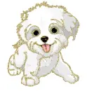 glitter dog