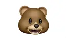 bear head