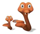 brown snakes