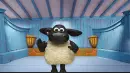 black sheep dancing