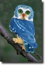 blue owl
