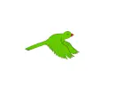 green parrot
