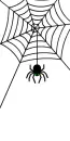 black spider