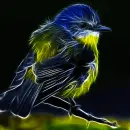 Fractal bird