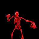 skeleton