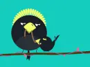 blackbirds