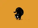 black cat