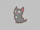 grey cat