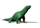 green lizard