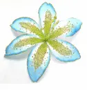lily