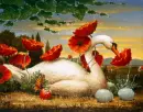 swan