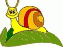 snail