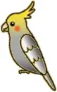 parrot