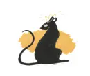 rat