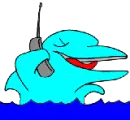 Talking dolphin