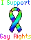 I support gay rights