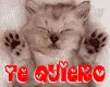 Kitty sayin I love u in spanish