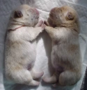 You and me
