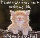 fat cat