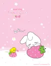 Sweet Pink Story