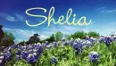 Shelia above Bluebonnets