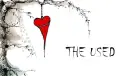 THE USED