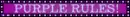 purple rules