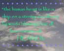 The Strom of the Winds
