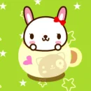 Pandadog Bunny