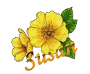 Susan