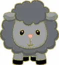 grey sheep