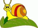 snail